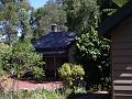 Cottage Garden, Melbourne Botanic Gardens IMGP0960